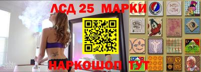 гидропоника Гусь-Хрустальный