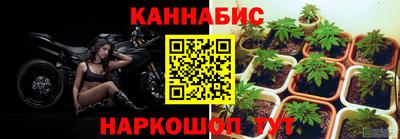 гидропоника Гусь-Хрустальный