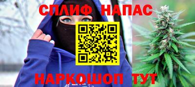 гидропоника Гусь-Хрустальный