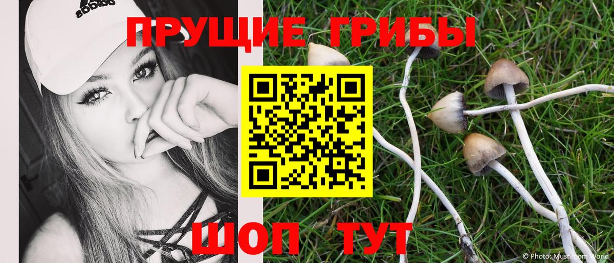 Псилоцибиновые грибы мухоморы Чистополь