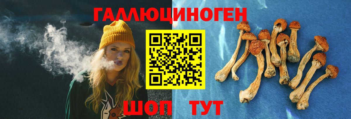 Чистополь  Псилоцибиновые грибы прущие грибы  Вход с VPN  Галлюциногенные грибы Cubensis 